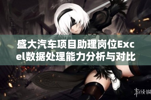 盛大汽车项目助理岗位Excel数据处理能力分析与对比