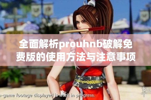 全面解析prouhnb破解免费版的使用方法与注意事项