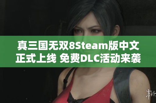 真三国无双8Steam版中文正式上线 免费DLC活动来袭