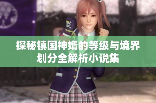 探秘镇国神婿的等级与境界划分全解析小说集
