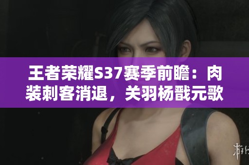 王者荣耀S37赛季前瞻：肉装刺客消退，关羽杨戬元歌迎来强势改版