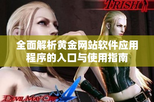 全面解析黄金网站软件应用程序的入口与使用指南