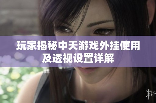 玩家揭秘中天游戏外挂使用及透视设置详解