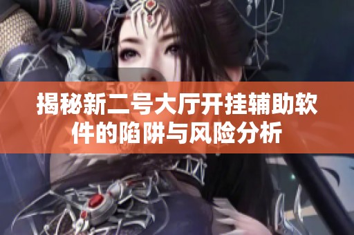 揭秘新二号大厅开挂辅助软件的陷阱与风险分析