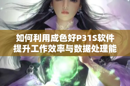 如何利用成色好P31S软件提升工作效率与数据处理能力