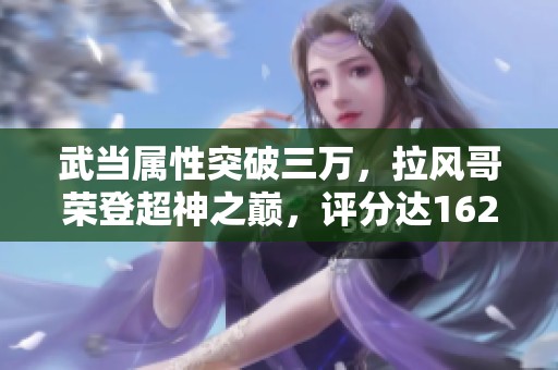 武当属性突破三万，拉风哥荣登超神之巅，评分达162万