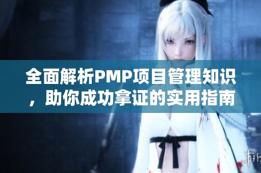 全面解析PMP项目管理知识，助你成功拿证的实用指南