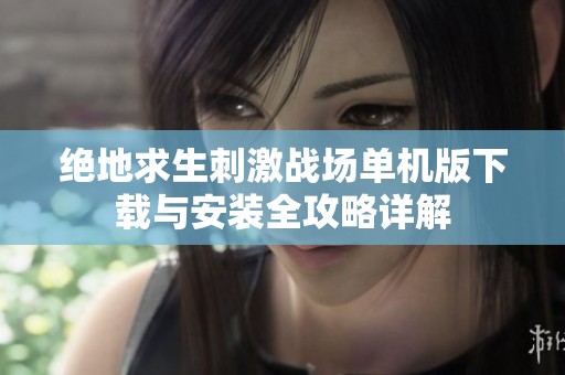 绝地求生刺激战场单机版下载与安装全攻略详解