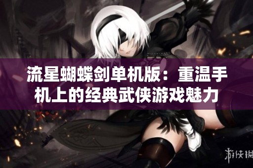 流星蝴蝶剑单机版：重温手机上的经典武侠游戏魅力