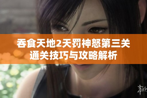吞食天地2天罚神怒第三关通关技巧与攻略解析