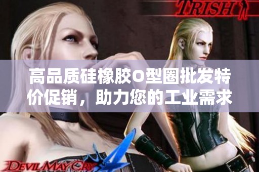 高品质硅橡胶O型圈批发特价促销，助力您的工业需求