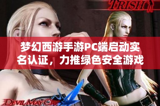 梦幻西游手游PC端启动实名认证，力推绿色安全游戏环境