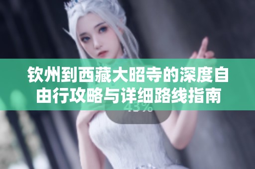 钦州到西藏大昭寺的深度自由行攻略与详细路线指南