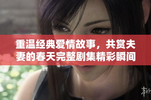 重温经典爱情故事，共赏夫妻的春天完整剧集精彩瞬间