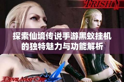探索仙境传说手游黑蚁挂机的独特魅力与功能解析
