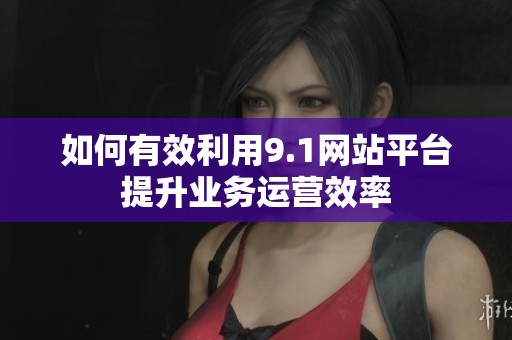 如何有效利用9.1网站平台提升业务运营效率