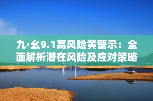 九·幺9.1高风险黄警示：全面解析潜在风险及应对策略
