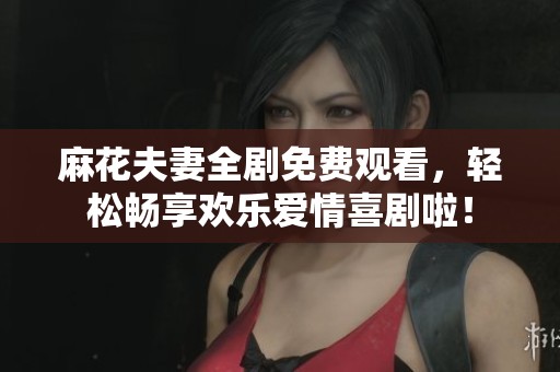 麻花夫妻全剧免费观看，轻松畅享欢乐爱情喜剧啦！