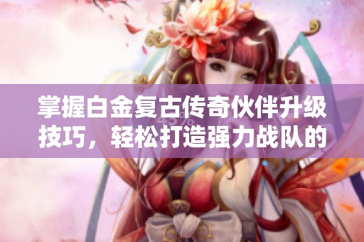 掌握白金复古传奇伙伴升级技巧，轻松打造强力战队的全面指南