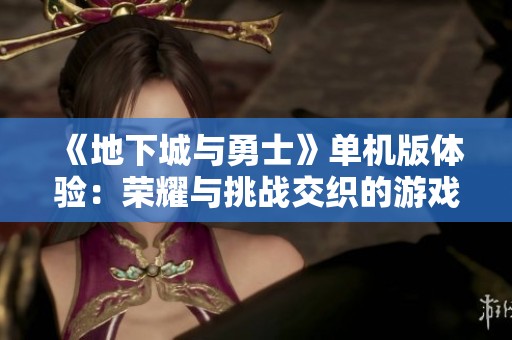 《地下城与勇士》单机版体验：荣耀与挑战交织的游戏之旅