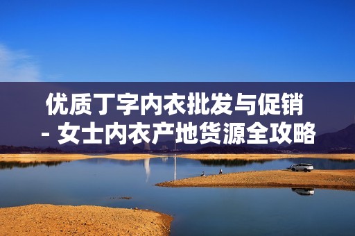 优质丁字内衣批发与促销 - 女士内衣产地货源全攻略
