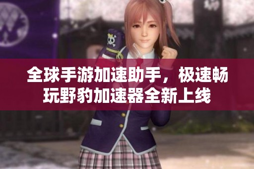全球手游加速助手，极速畅玩野豹加速器全新上线