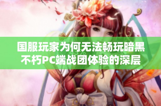 国服玩家为何无法畅玩暗黑不朽PC端战团体验的深层原因解析