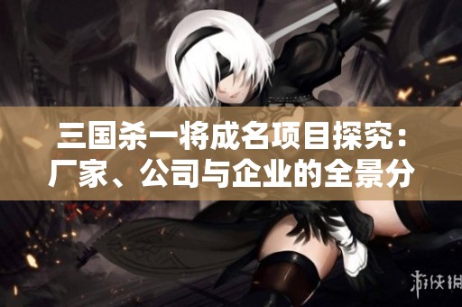 三国杀一将成名项目探究：厂家、公司与企业的全景分析