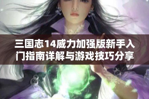 三国志14威力加强版新手入门指南详解与游戏技巧分享
