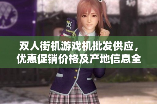 双人街机游戏机批发供应，优惠促销价格及产地信息全解析