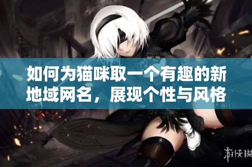 如何为猫咪取一个有趣的新地域网名，展现个性与风格