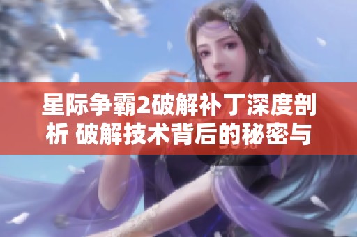 星际争霸2破解补丁深度剖析 破解技术背后的秘密与挑战