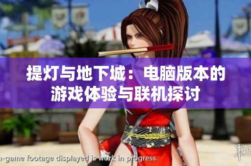 提灯与地下城：电脑版本的游戏体验与联机探讨