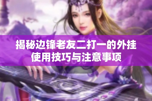揭秘边锋老友二打一的外挂使用技巧与注意事项