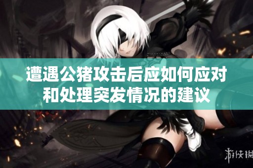 遭遇公猪攻击后应如何应对和处理突发情况的建议