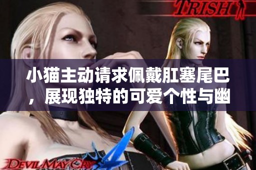 小猫主动请求佩戴肛塞尾巴，展现独特的可爱个性与幽默感