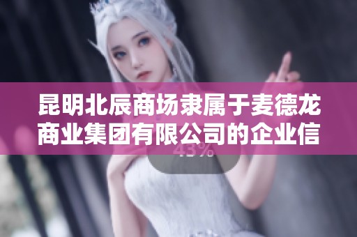 昆明北辰商场隶属于麦德龙商业集团有限公司的企业信息解析
