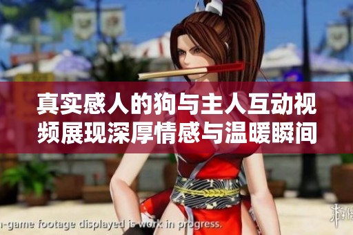 真实感人的狗与主人互动视频展现深厚情感与温暖瞬间