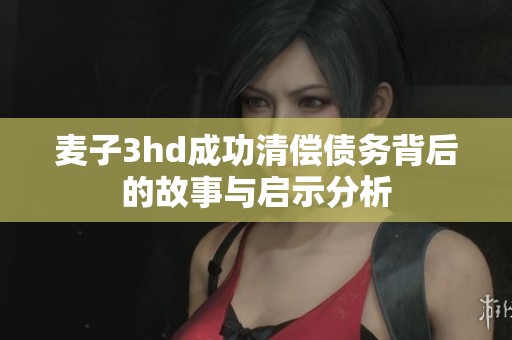 麦子3hd成功清偿债务背后的故事与启示分析