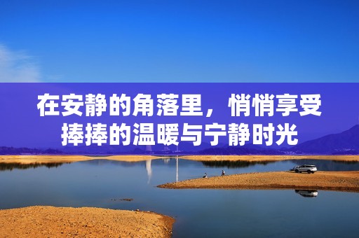 在安静的角落里，悄悄享受捧捧的温暖与宁静时光