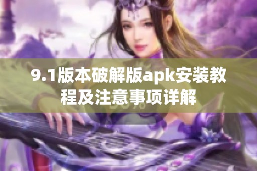 9.1版本破解版apk安装教程及注意事项详解