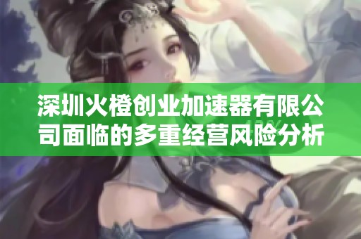 深圳火橙创业加速器有限公司面临的多重经营风险分析与应对策略