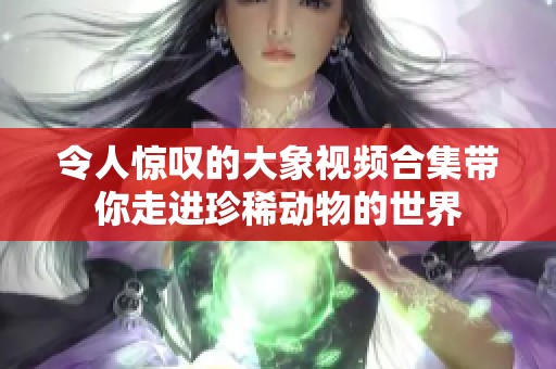令人惊叹的大象视频合集带你走进珍稀动物的世界