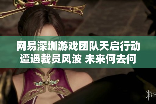 网易深圳游戏团队天启行动遭遇裁员风波 未来何去何从
