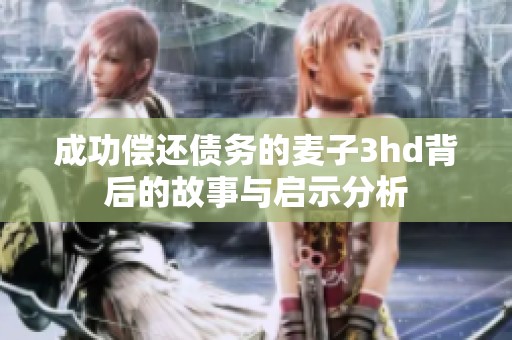 成功偿还债务的麦子3hd背后的故事与启示分析