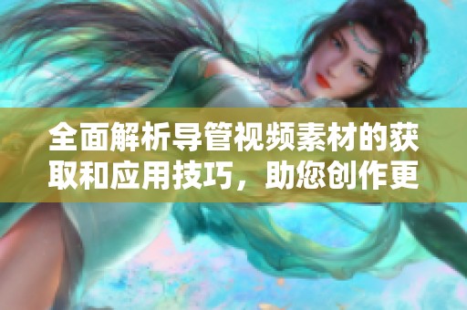 全面解析导管视频素材的获取和应用技巧，助您创作更加精彩的内容