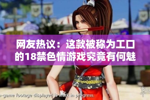 网友热议：这款被称为工口的18禁色情游戏究竟有何魅力？
