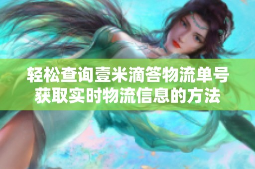 轻松查询壹米滴答物流单号获取实时物流信息的方法