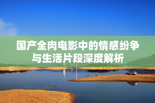 国产全肉电影中的情感纷争与生活片段深度解析