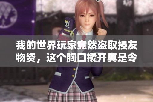 我的世界玩家竟然盗取损友物资，这个胸口撬开真是令人震惊